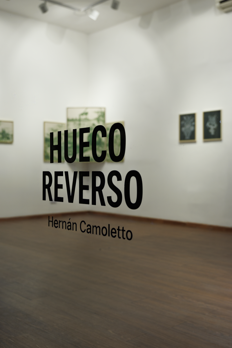Hueco Reverso | Hernán Camoletto
