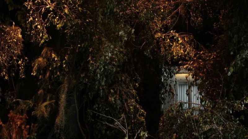 Del vacío un bosque Instalación. MACRO (Museo de Arte Contemporaneo de Rosario).