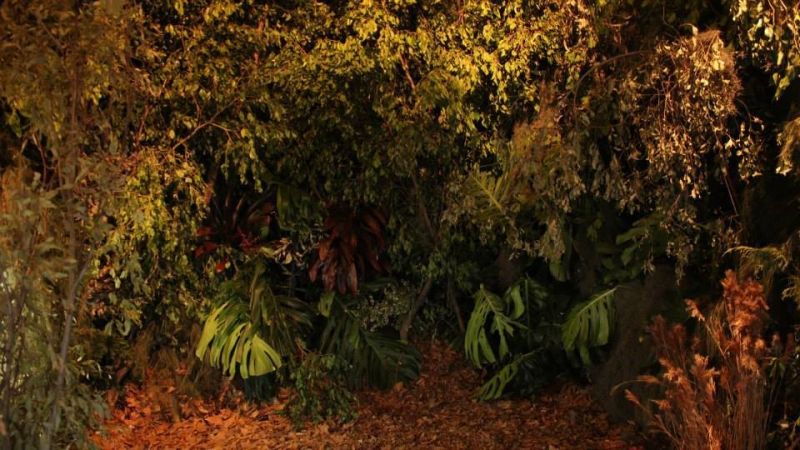 Del vacío un bosque Instalación. MACRO (Museo de Arte Contemporaneo de Rosario).