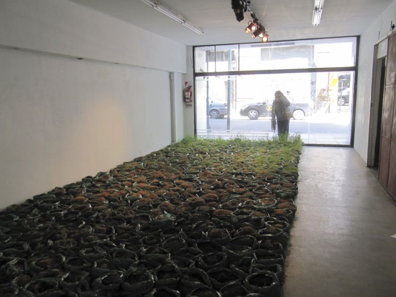 Un campo de trigo Proyecto + Instalación. Panal 361, Buenos Aires.