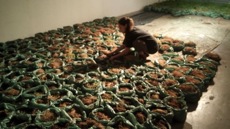 Un campo de trigo Proyecto + Instalación. Panal 361, Buenos Aires.