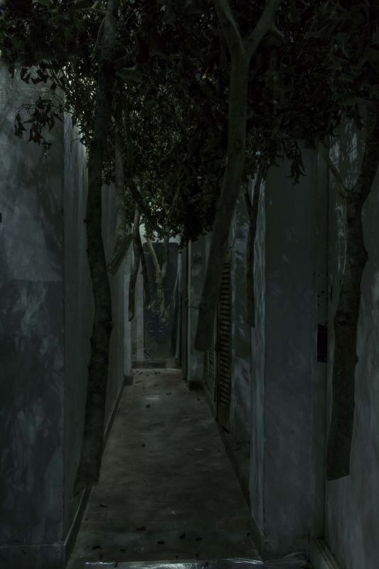 Un secreto olvidado Instalación. CRUDO. Rosario. Curaduría: Hernán Camoletto. Ph. Lucás Bragagnini.