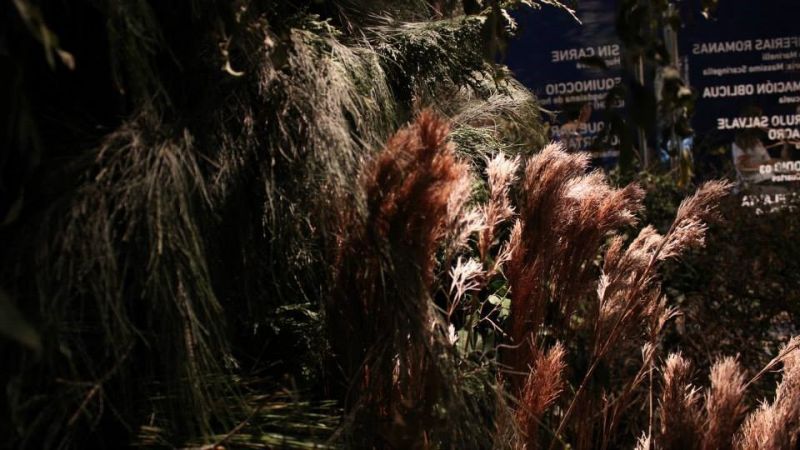 Del vacío un bosque Instalación. MACRO (Museo de Arte Contemporaneo de Rosario).