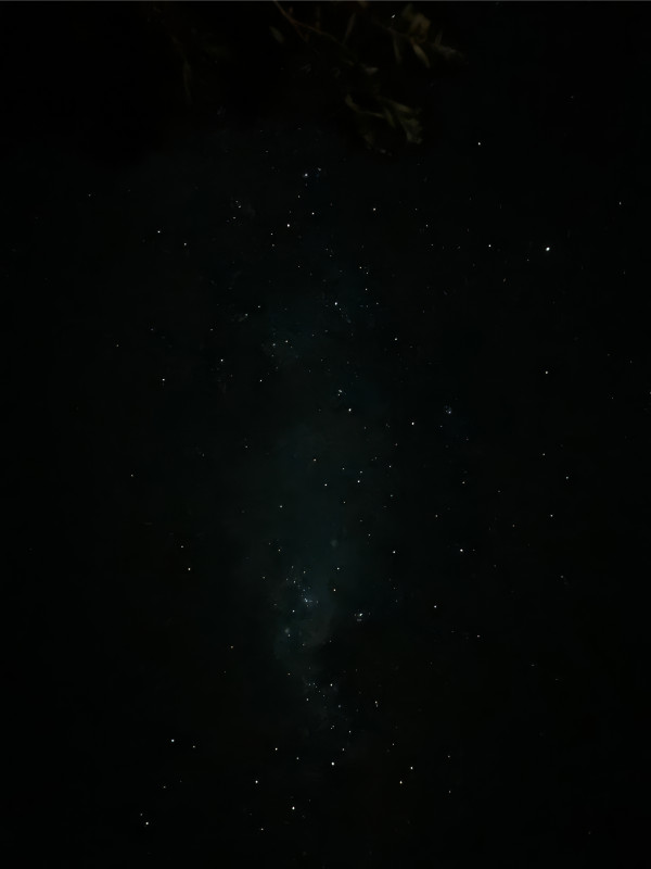 Suelo dorado | Yuyo Gardiol