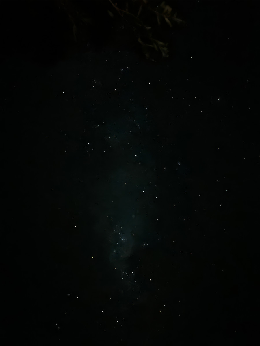 Suelo dorado | Yuyo Gardiol