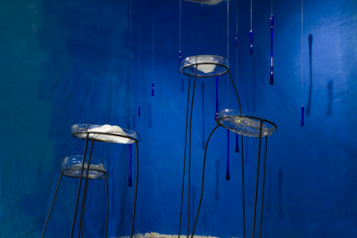 Suelo dorado | Yuyo Gardiol