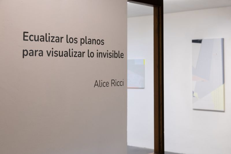 Ecualizar los planos para visualizar lo invisible - Alice Ricci - CRUDO