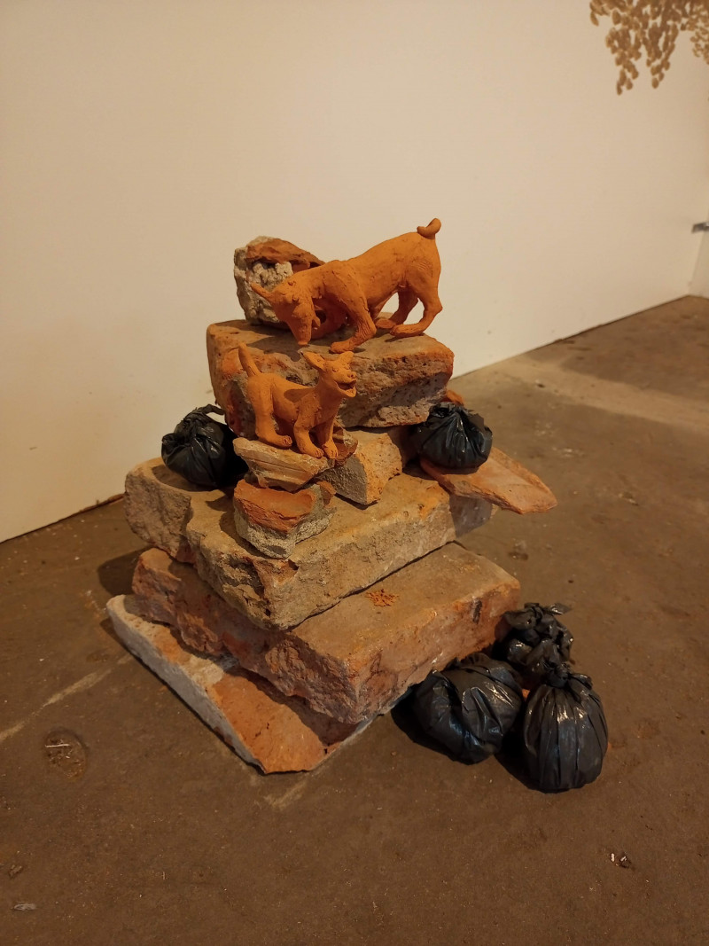 ArteCo | Madalí Pizarro