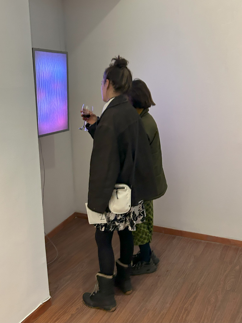Inauguración | Materia Difusa | Juan Ignacio Cabruja