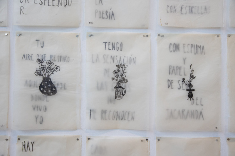 La imagen abierta | Hernán Camoletto | Parque de la Memoria | 2025