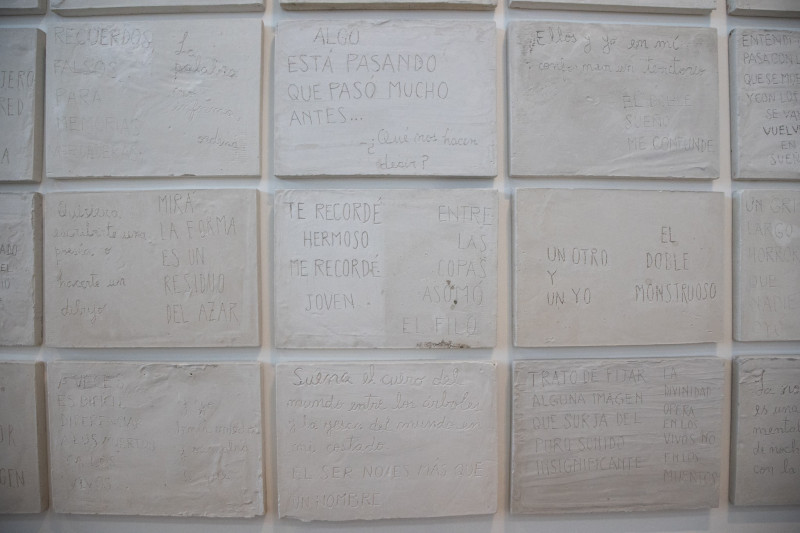 La imagen abierta | Hernán Camoletto | Parque de la Memoria | 2025