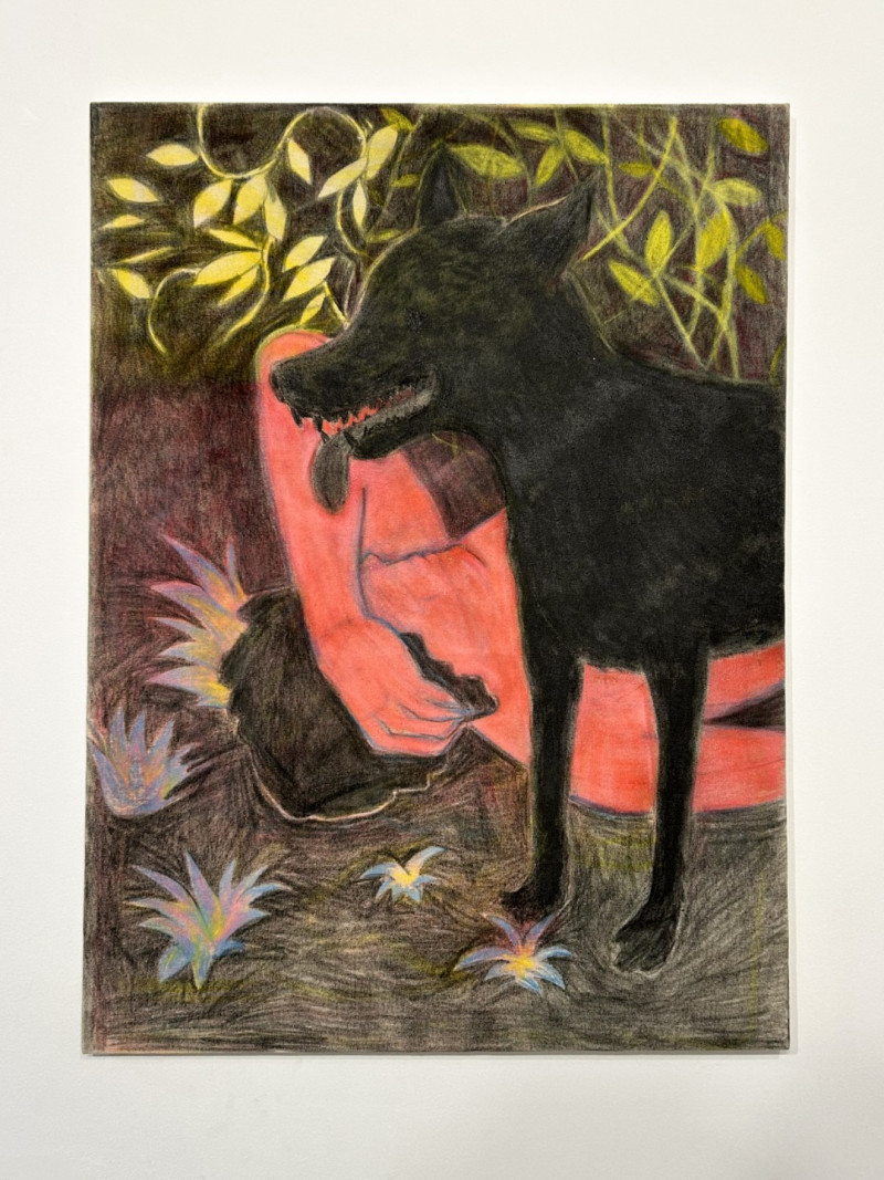 Serpiente Dorada | Ariel Costa