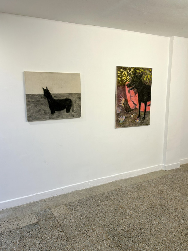 Serpiente Dorada | Ariel Costa