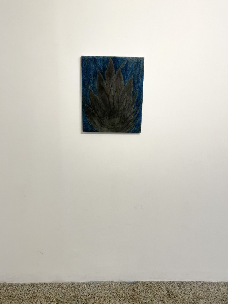 Serpiente Dorada | Ariel Costa