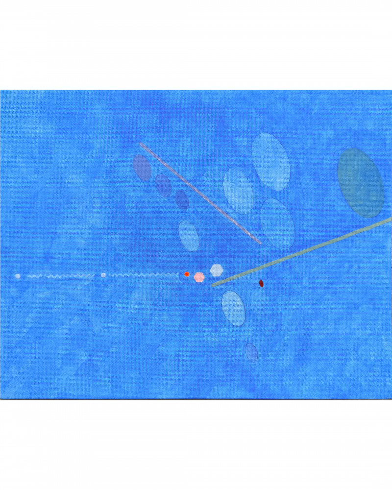 Pinta Miami 2025 | Alice Ricci