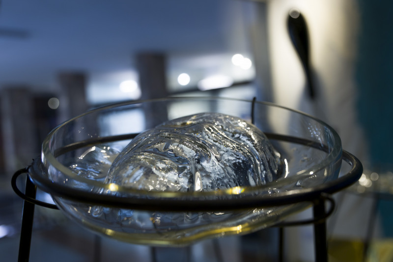 Sueño dorado. Yuyo Gardiol. 2025.