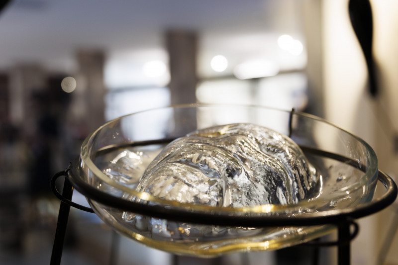 Sueño dorado. Yuyo Gardiol. 2025.